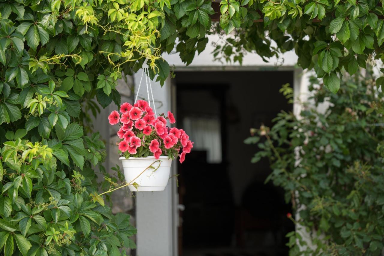 Kuca Za Odmor Joko I Jeka Vila Bogatić Exterior foto